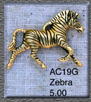 Zebra