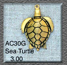 Sea Turtle
