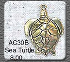 Sea Turtle